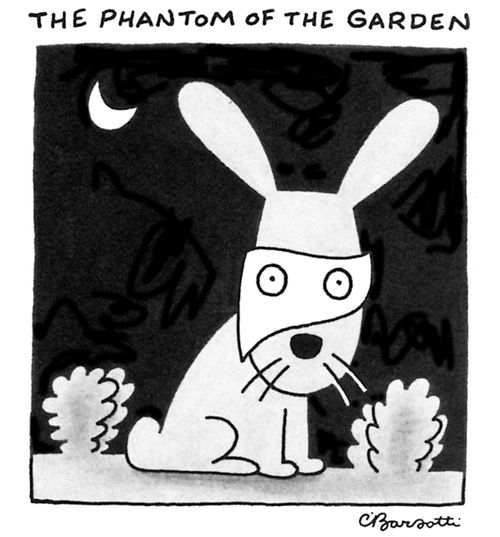 The Phantom Of The Garden