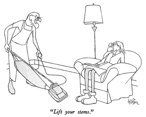 "Lift your stems."