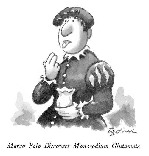 Marco Polo Discovers Monosodium Glutamate