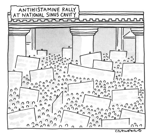 Antihistamine Rally At National Sinus Cavity