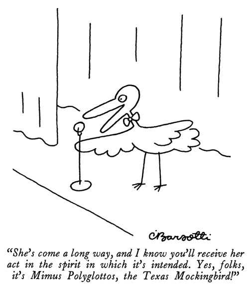 "She's come a long way, and I know you'll receive her act in the spirit in which it's intended. Yes, folks, it's Mimus Polyglottos, the Texas Mockingbird!"