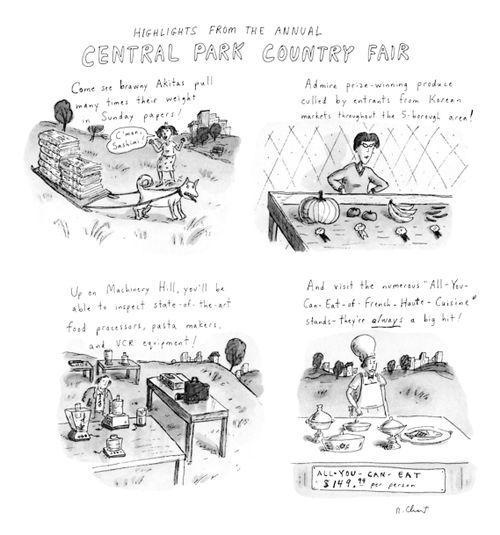 Highlights From The Annual Central Park Country Fair