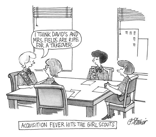 Acquisition Fever Hits The Girl Scouts