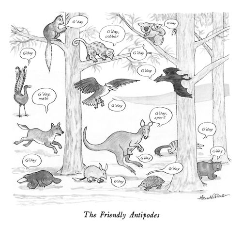 The Friendly Antipodes