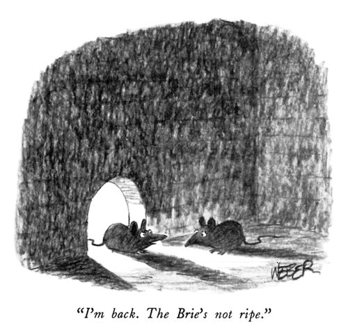 "I'm back. The Brie's not ripe."