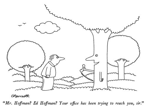 "Mr. Hoffman? Ed Hoffman? Your office has been trying to reach you, sir."