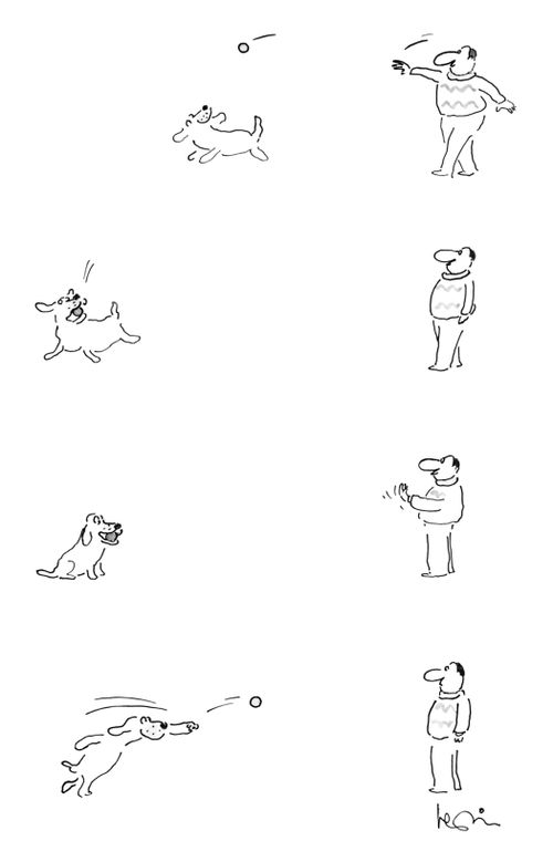 Fetching the Ball