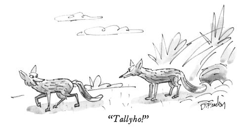 "Tallyho!"