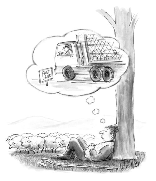 Shepherd dreaming about driving in the "Fast lane" with a truck full of sheep.