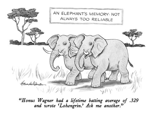 An elephant's memory: not always too reliable.