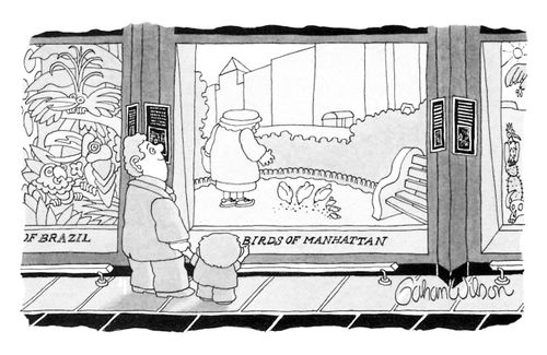 Birds of Manhattan