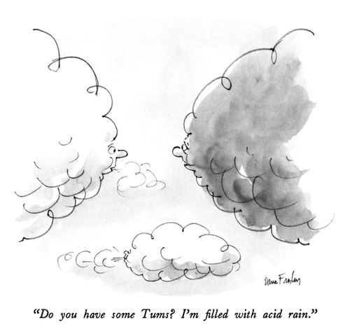 "Do you have some Tums? I'm filled with acid rain."
