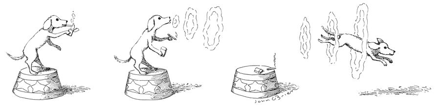 A dog lights a cigarette, blows 3 smoke rings, then jumps through them, as if through hoops.