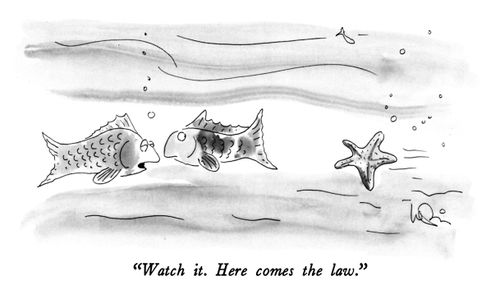 "Watch it. Here comes the law."