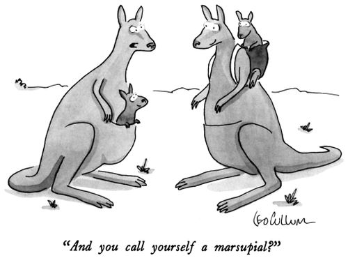 "And you call yourself a marsupial?"