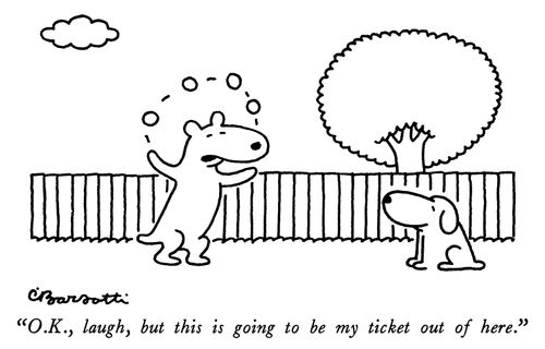 "O.K., laugh, but this is going to be my ticket out of here."