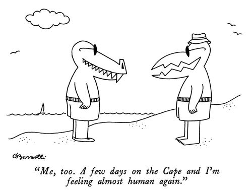"Me, too. A few days on the cape and I'm feeling almost human again."
