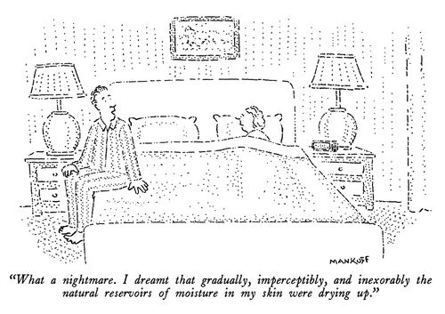 "What a nightmare. I dreamt that gradually, imperceptibly, and inexorably the natural reservoirs of moisture in my skin were drying up."