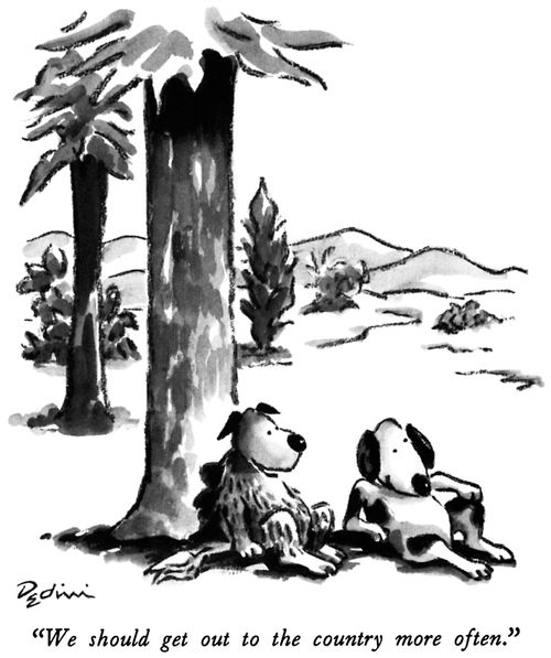 "We should get out to the country more often."
