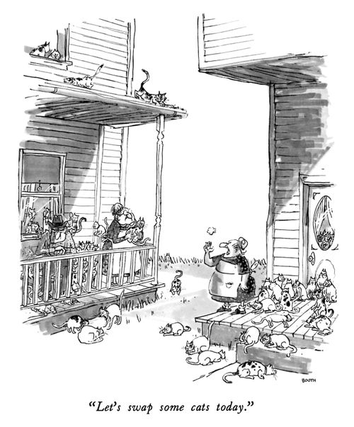 "Let's swap some cats today."