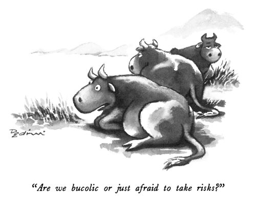 "Are we bucolic or just afraid to take risks?"