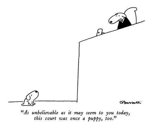 "As unbelievable as it may seem to you today, this court was once a puppy, too."
