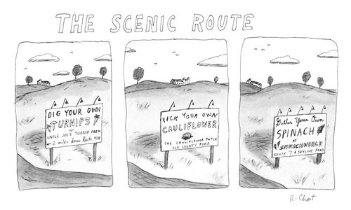 The Scenic Route