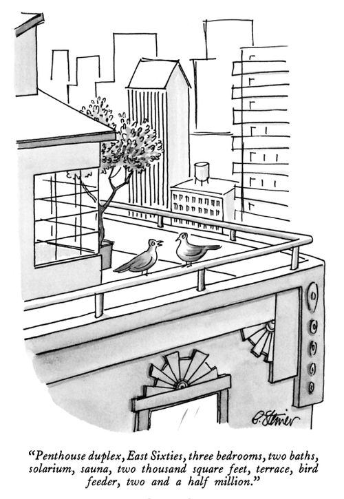 "Penthouse duplex, East Sixties, three bedrooms, two baths, solarium, sauna, two thousand square feet, terrace, bird feeder, two and a half million."