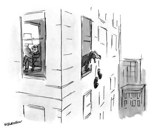Dog dropping slippers out of the window.