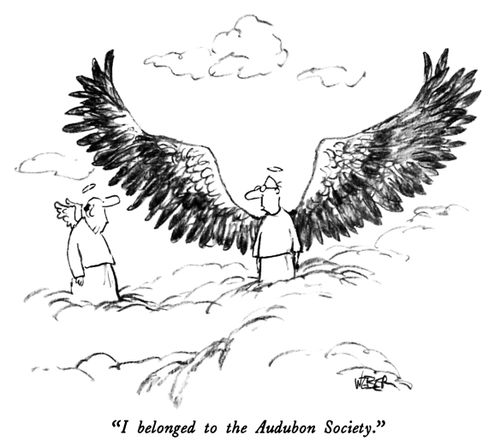 "I belonged to the Audubon Society."