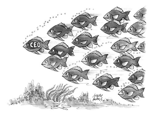 A school of fish following one fish who is labeled "CEO".