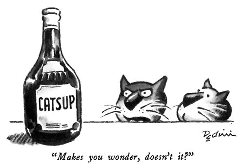 "Makes you wonder, doesn't it?"