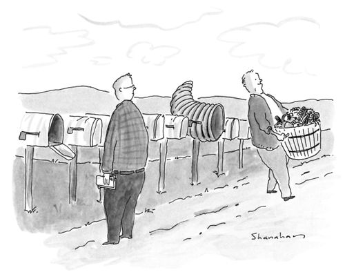 Mailbox of Plenty