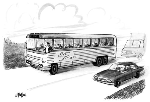 Bus for Dogs