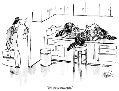 "We have raccoons."