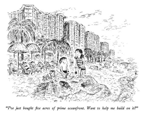 "I've just bought five acres of prime oceanfront. Want to help me build on it?"