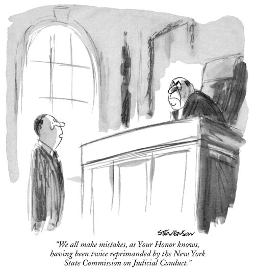 "We all make mistakes, as Your Honor knows, having been twice reprimanded by the New York State Commission on Juridical Conduct."