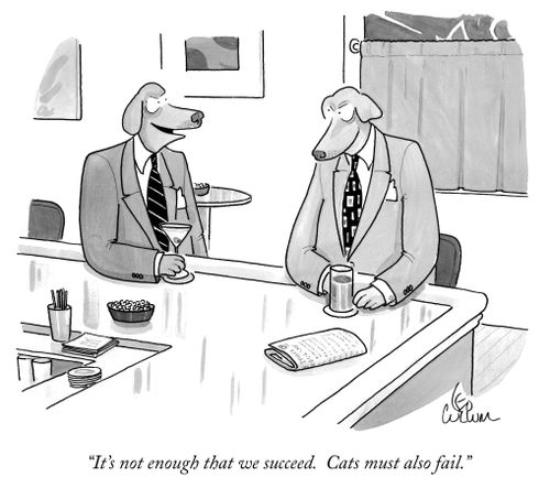 "It's not enough that we succeed. Cats must also fail."