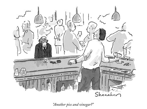 "Another p**s and vinegar?"
