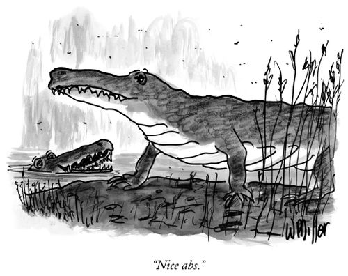 "Nice abs."