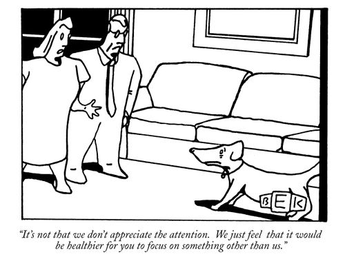 "It's not that we don't appreciate the attention. We just feel that it would be healthier for you to focus on something other than us."