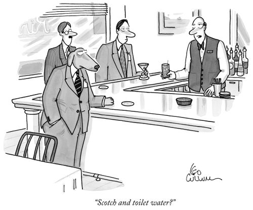 "Scotch and toilet water?"