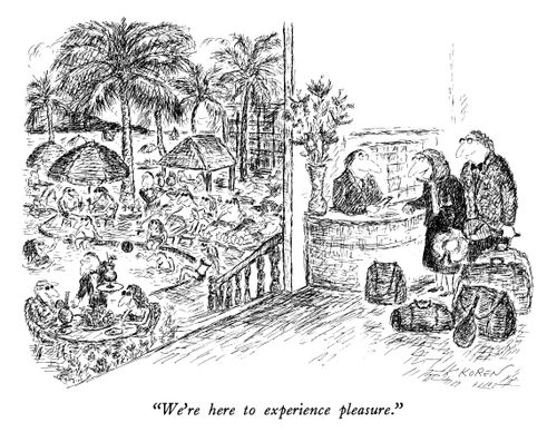 "We're here to experience pleasure."