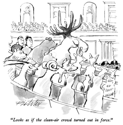"Looks as if the clean-air crowd turned out in force."
