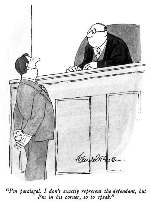 "I'm a paralegal. I don't exactly represent the defendant, but I'm in his corner, so to speak."