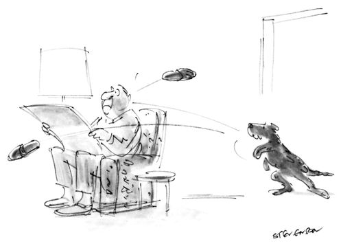 Pet owner struggles