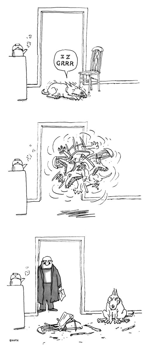 Dog's Destruction