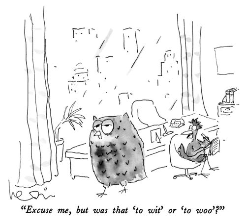 "Excuse me, but was that 'to wit' or 'to woo'?"