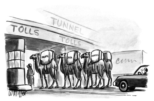 Camels going through a toll booth