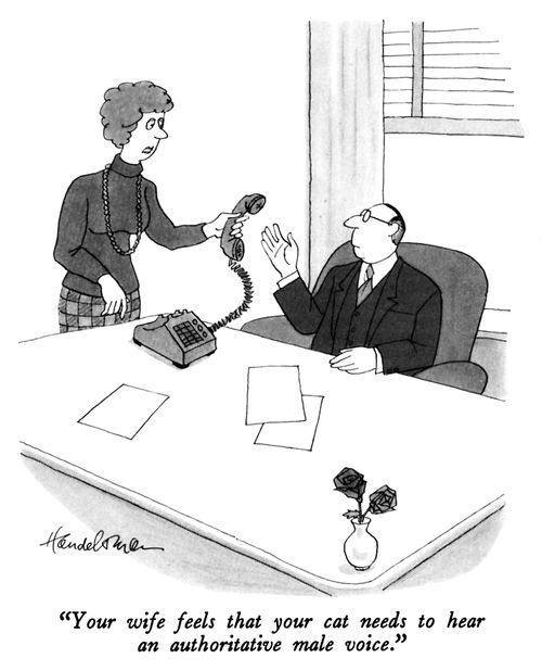 "Your wife feels that your cat needs to hear an authoritative male voice."
